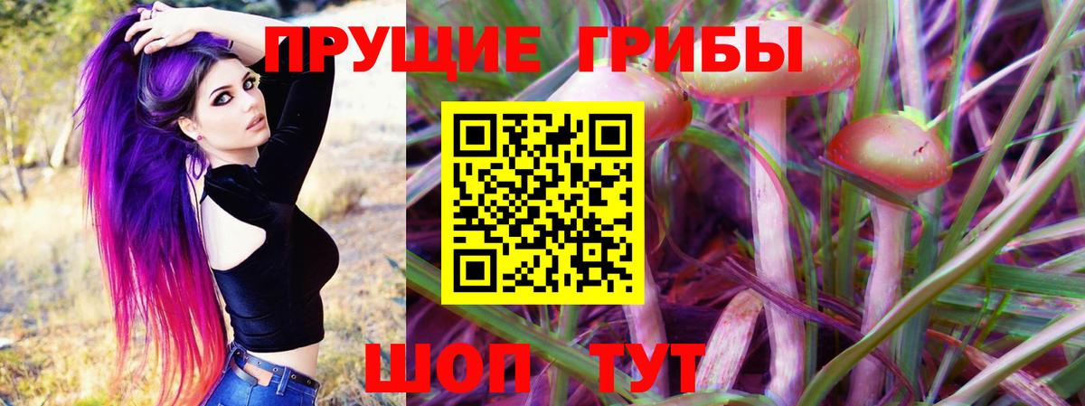 Псилоцибиновые грибы Cubensis Подольск
