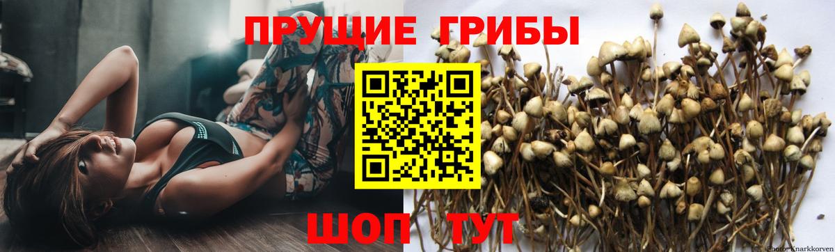 Галлюциногенные грибы мицелий  Вход с VPN  Подольск 